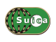 Suica